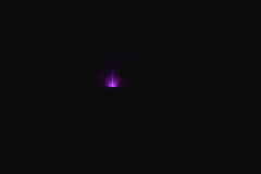 DSC_5011_Bright_Small