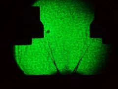 21-06-28_17-33-08_laser15000_1S